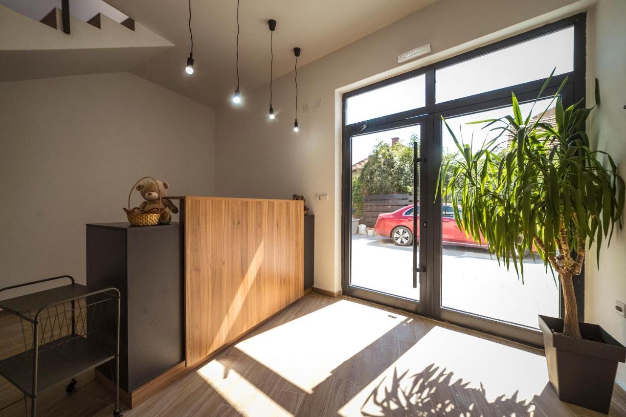 Zoe Pirot Apartman Kültér fotó